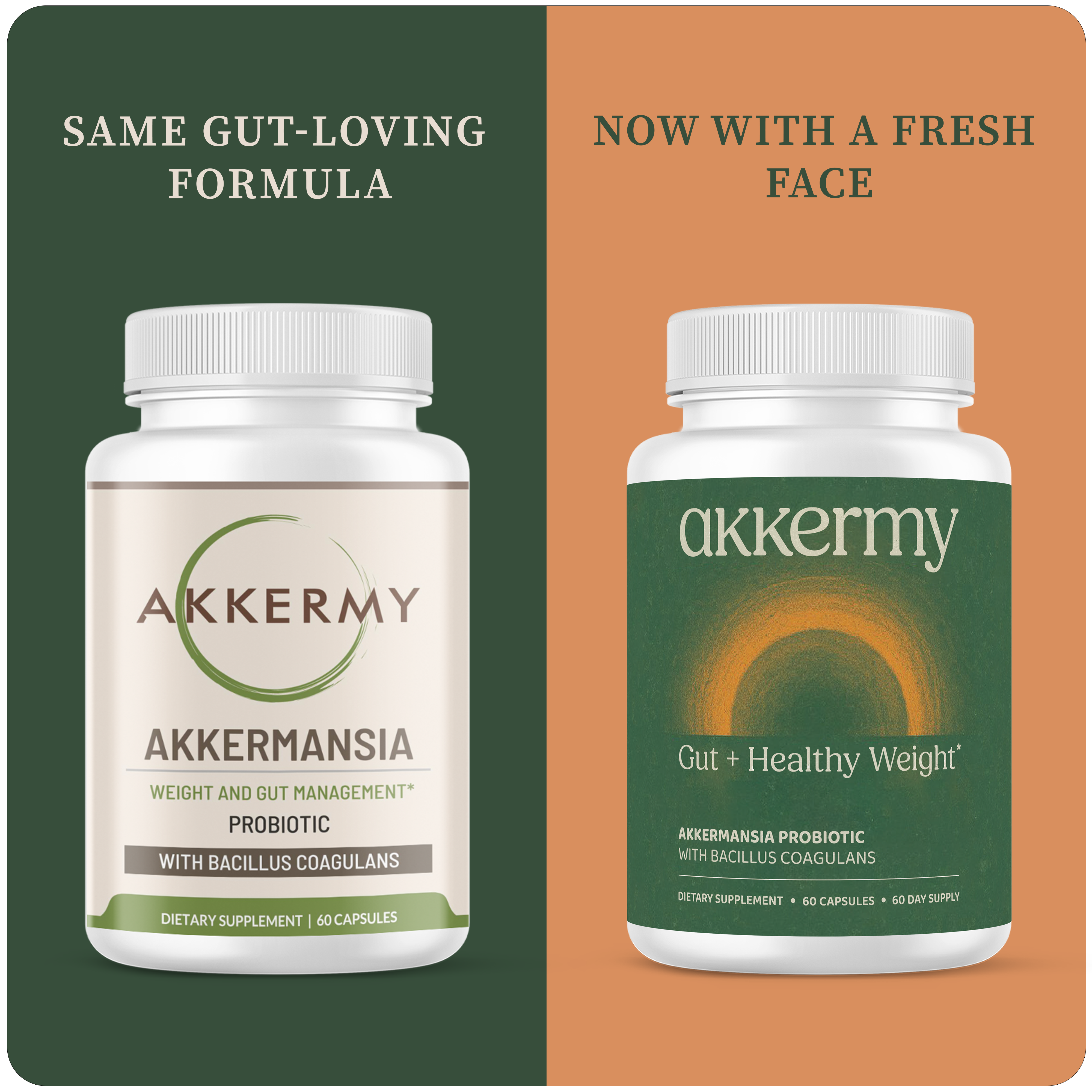 Akkermansia Probiotic