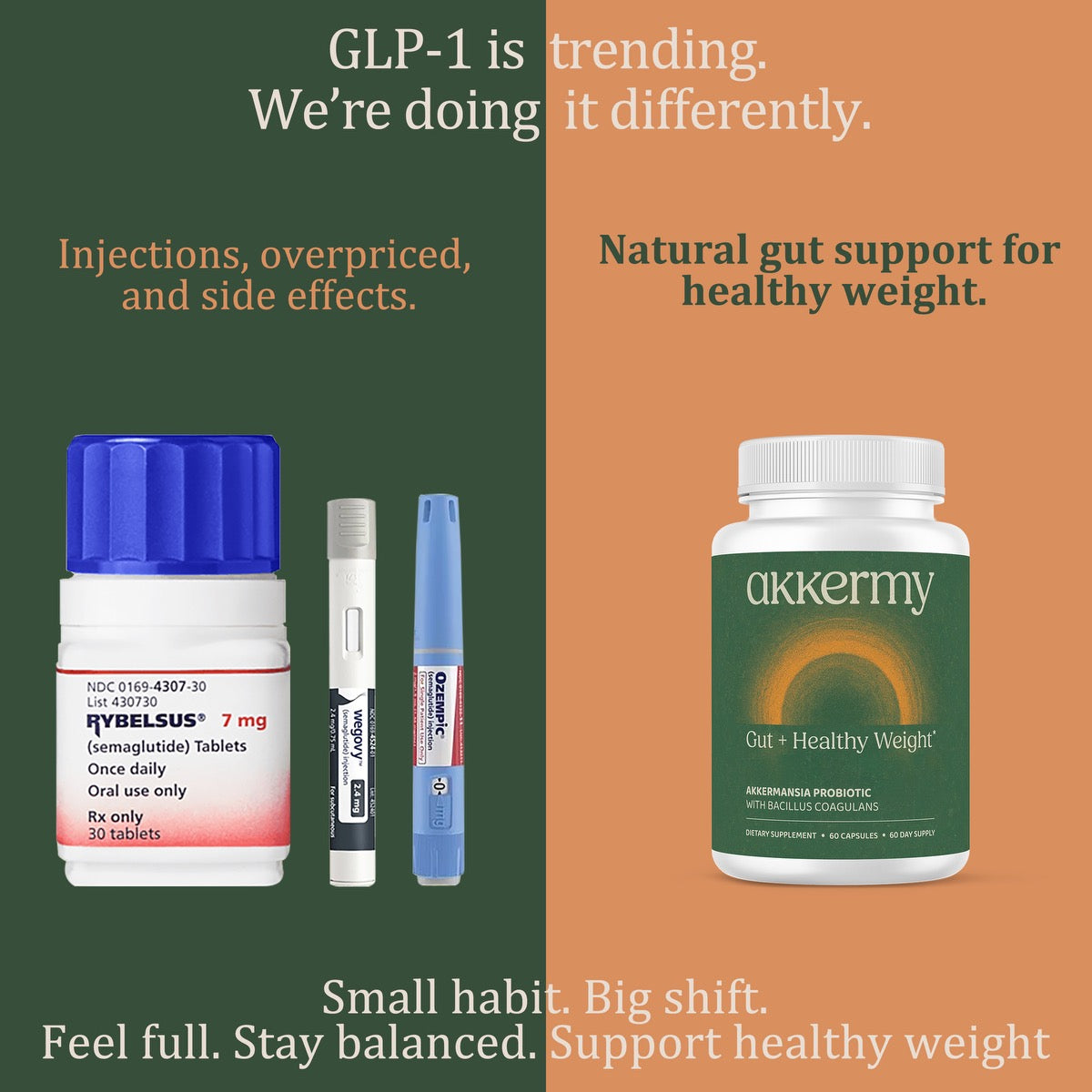 Akkermansia Probiotic